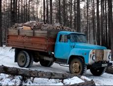 Дрова альха 