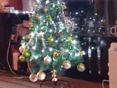 ПРОДАМ ЁЛКИ  В ПОДАРОК ГЕРЛЯДАМИ!! 
