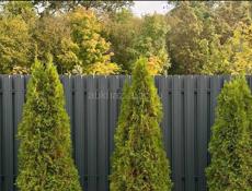 Профессиональное Изготовление и Монтаж Заборов из Профнастила – Гарантия Качества!