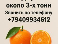 МАНДАРИНЫ НА ПРОДАЖУ