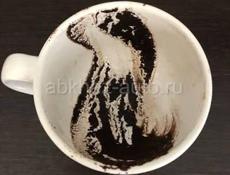 Гадание на все случаи жизни.