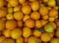 Продается лимоны собранные 