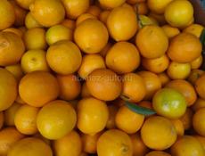 Продается лимоны собранные 