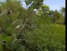 Продаю земля барановка граница документы есть