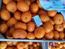 Куплю мандарины