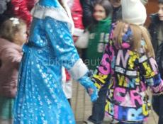 Дед Мороз и Снегурочка