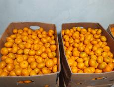 Продаю мандарины около 600 кг все вместе 60 р 