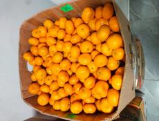 Продаю мандарины около 600 кг все вместе 60 р 