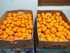 Продаю мандарины около 600 кг все вместе 60 р 