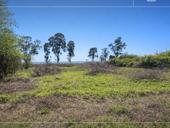 УЧАСТОК 20 СОТОК ПРИМОРСКОЕ 1 БЕРЕГОВАЯ