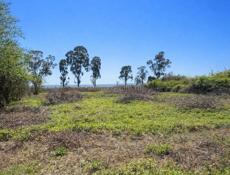 УЧАСТОК 20 СОТОК ПРИМОРСКОЕ 1 БЕРЕГОВАЯ