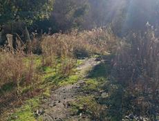 УЧАСТОК БАГМАРАН С ВЕТХИМ СТРОЕНИЕМ