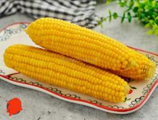 Продаётся КУКУРУЗА свежая !!!