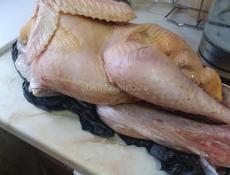 Индюки очищенные