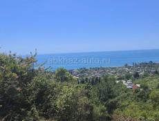 Гагра Цандрипш Срочно 