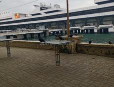 Уютные номера круглый год  по улице Ардзинба вся шаговая доступность рядом 