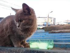 В теплые заботливые руки