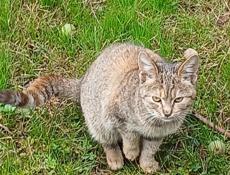 В теплые заботливые руки