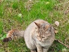 В теплые заботливые руки