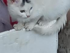 В теплые заботливые руки