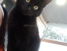 В теплые заботливые руки