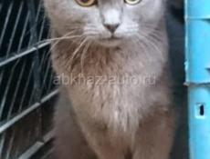 В теплые заботливые руки