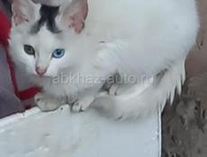 В теплые заботливые руки