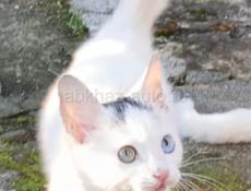 В теплые заботливые руки