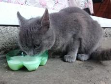 В теплые заботливые руки