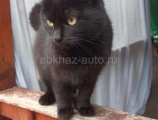 В теплые заботливые руки