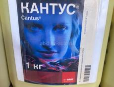 Химия для обработки любой сложности 