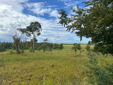 12 соток срочно