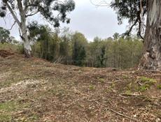 Срочно продается!