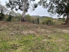 Срочно продается!