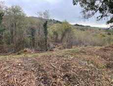 Срочно продается!