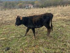 Продаю за 30  тыс рублей