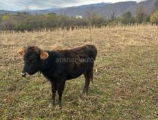 Продаю за 30  тыс рублей