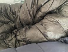 Отдам за шоколадку 