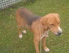 Потерялась озера амткел