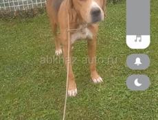 Потерялась озера амткел