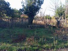 УЧАСТОК БАГМАРАН С ВЕТХИМ СТРОЕНИЕМ