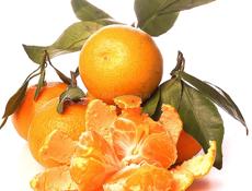 Куплю мандарин мелкий