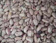 Фасоль оптом