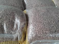 Фасоль оптом