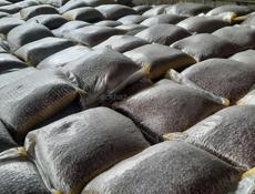 Фасоль оптом