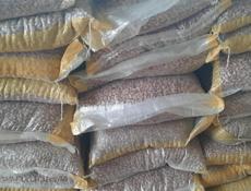 Фасоль оптом