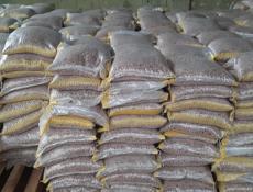 Фасоль оптом