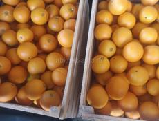 ЛИМОНЫ,АПЕЛЬСИНЫ