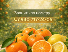 ЛИМОНЫ,АПЕЛЬСИНЫ