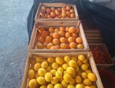 ЛИМОНЫ,АПЕЛЬСИНЫ
